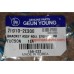 Подушка двигателя передняя Tucson 2,0 АКПП GY 21910-2E300