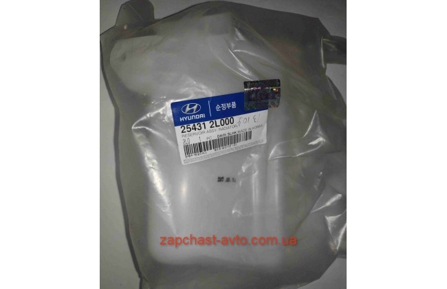 Бачок расширительный I30 07-, Mobis 25431-2L000