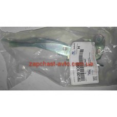 Петля капота Getz правая Mobis 79120-1C000