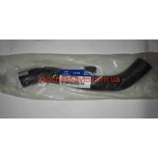 Патрубок радиатора верхний Accent, Rio 10- Mobis 25411-1R150