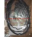Прокладка крышки клапана Sonata, Magentis 2.0l 05-10 Mobis 22441-25002