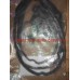 Прокладка крышки клапана Sonata, Magentis 2.0l 05-10 Mobis 22441-25002